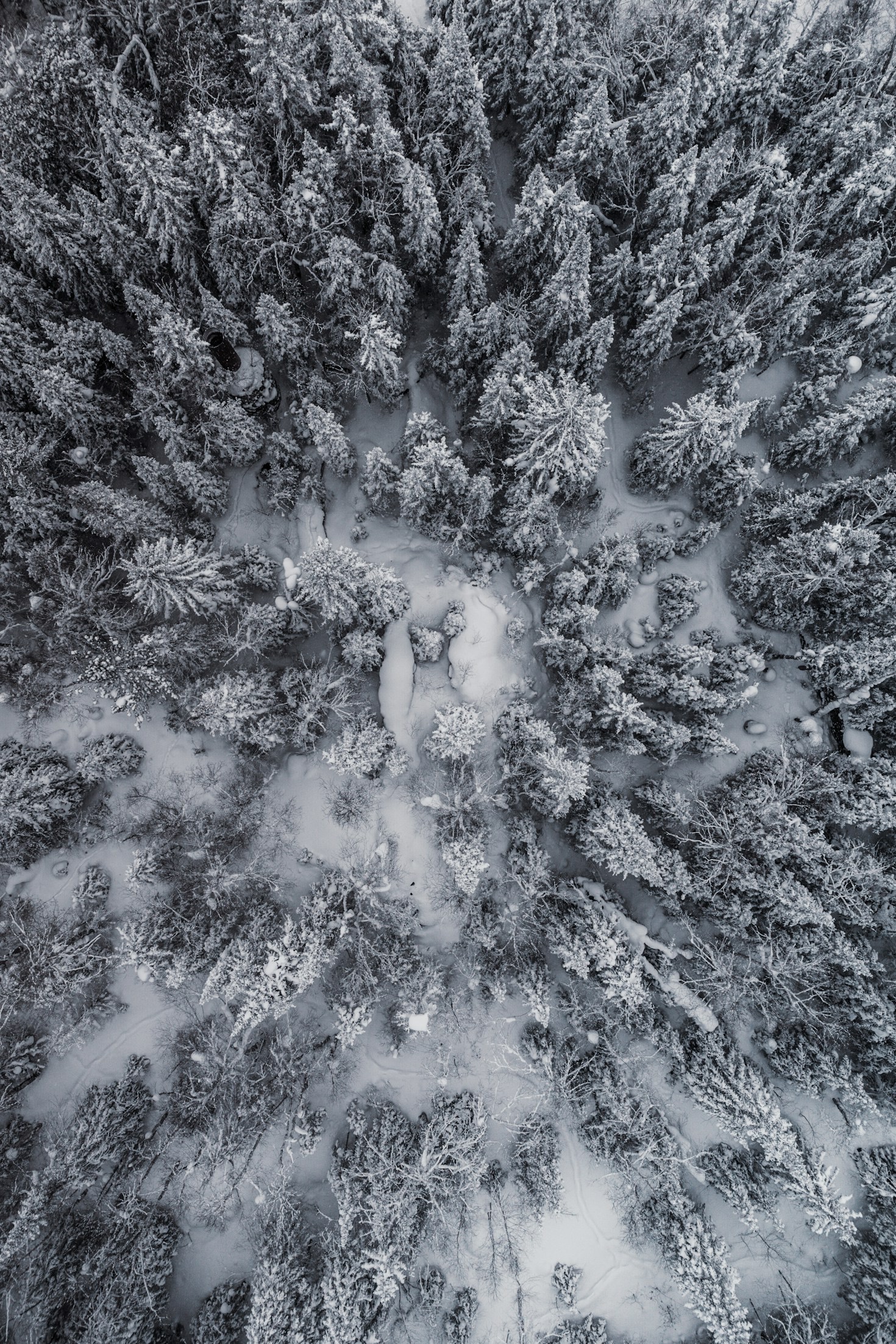 Wybór idealnego papieru fotograficznego pod wydruk kolekcjonerski